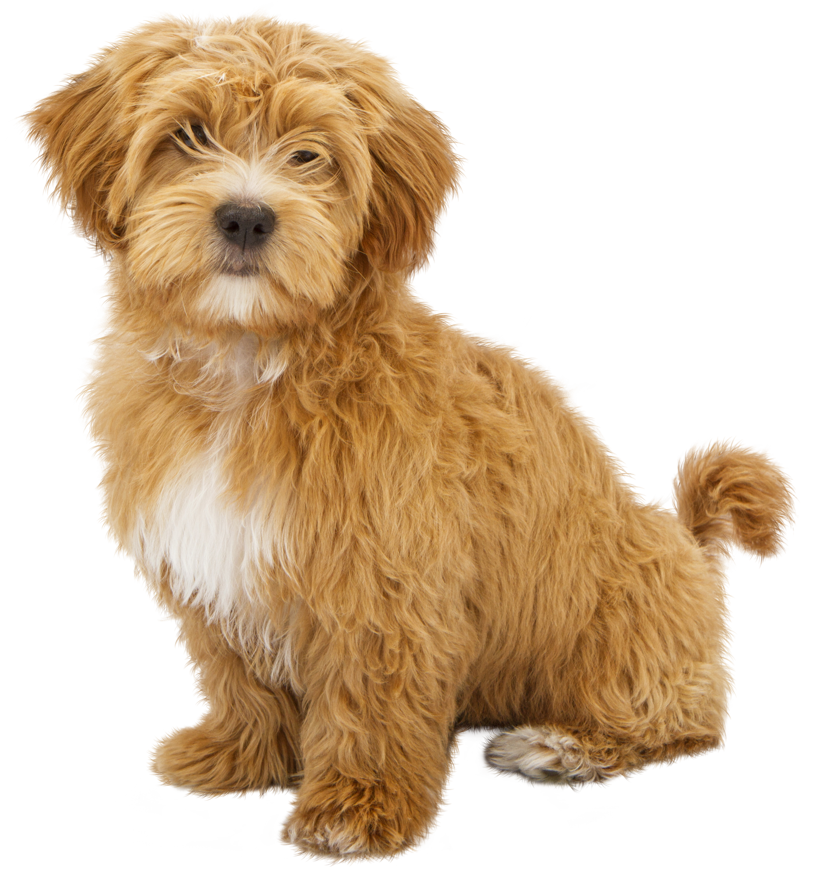 AdobeStock_509906979